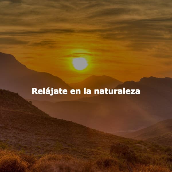 Relájate en la naturaleza - Vintage Jazz