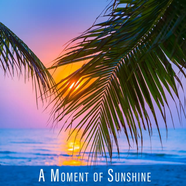 A Moment of Sunshine - DJ Domain