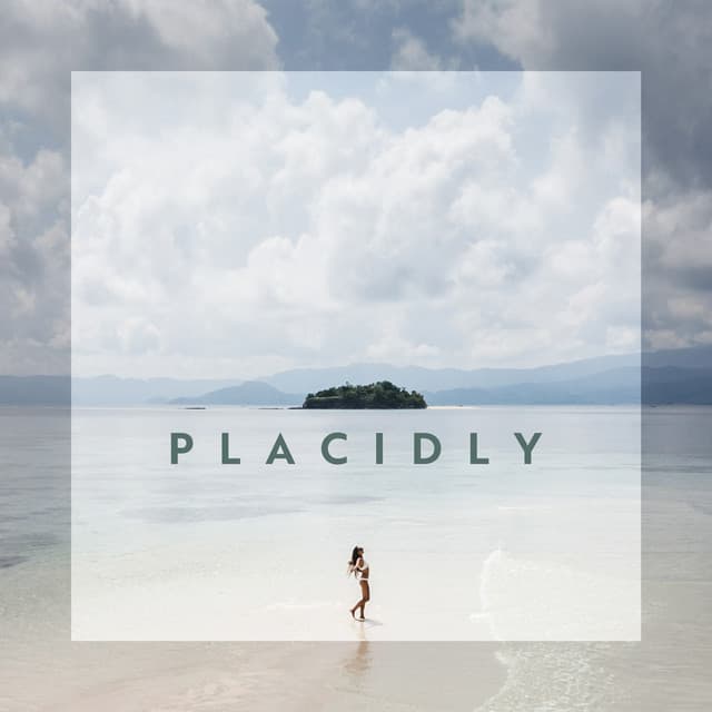 Placidly: Soothing Instrumental Ambient Music for Stress and Anxiety - Sound Therapy Masters