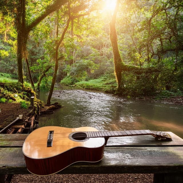 Canal Naturaleza sin parar