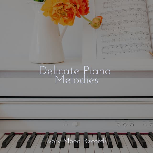 Delicate Piano Melodies - Relaxing Mindfulness Meditation Relaxation Maestro