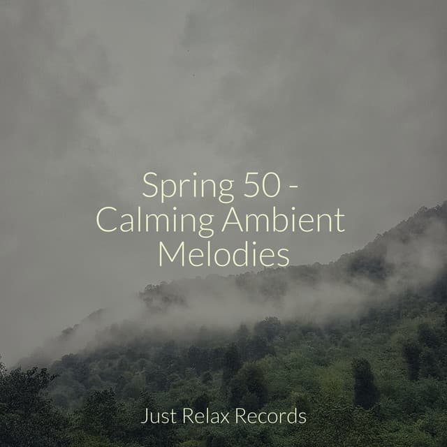 Spring 50 - Calming Ambient Melodies - Música relaxante