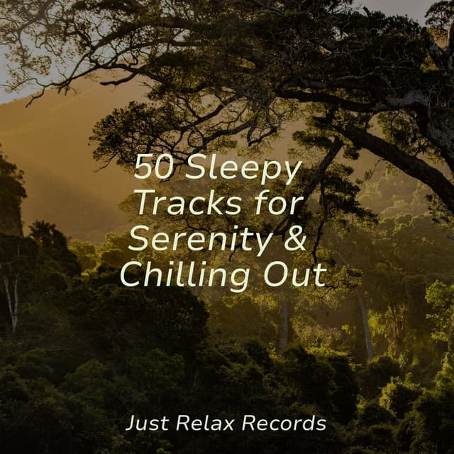 50 Sleepy Tracks for Serenity & Chilling Out - ASMR HD