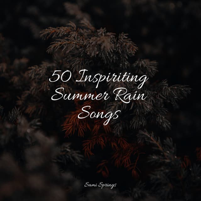 50 Inspiriting Summer Rain Songs - Massage