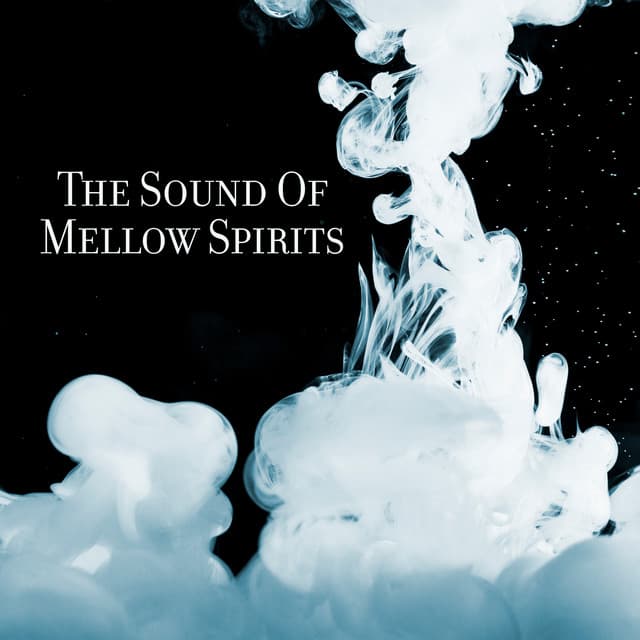The Sound Of Mellow Spirits - 7 Types Of Spirits