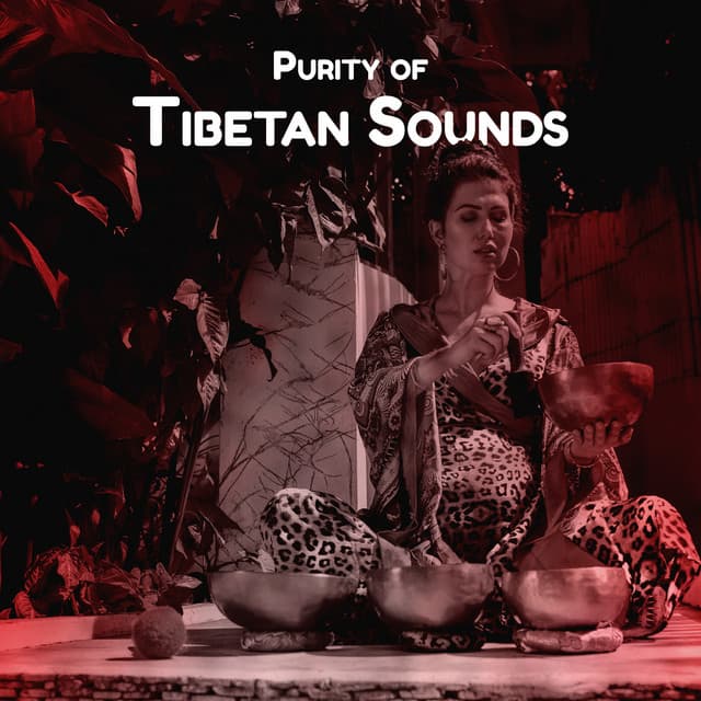Purity of Tibetan Sounds: Tibetan Monks Chants, Singing Bowls, Buddhist Meditation Music - Meditation Sounds of the Tibet