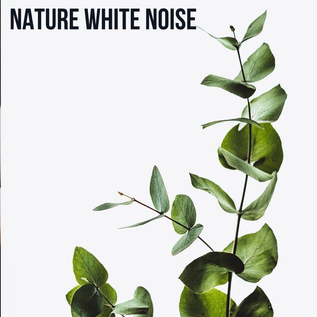 Nature White Noise - Nature Soundscape