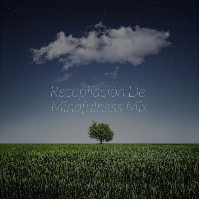 Recopilación De Mindfulness Mix - Sleep Sound Library