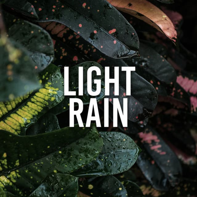Light Rain - Relaxing Music Therapy