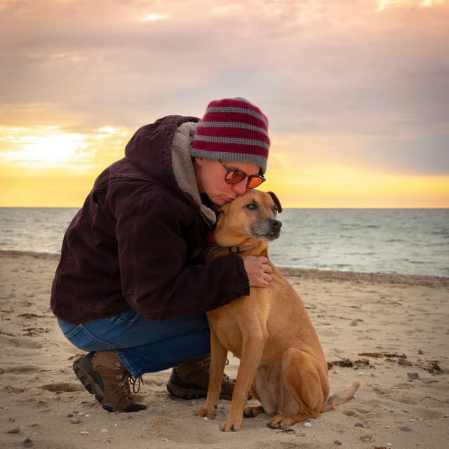 Ambient Oceanside Pet Comfort - Oceanografers