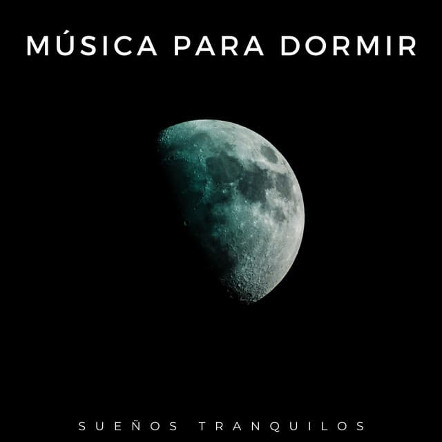 Aspiradoras de sueño profundo