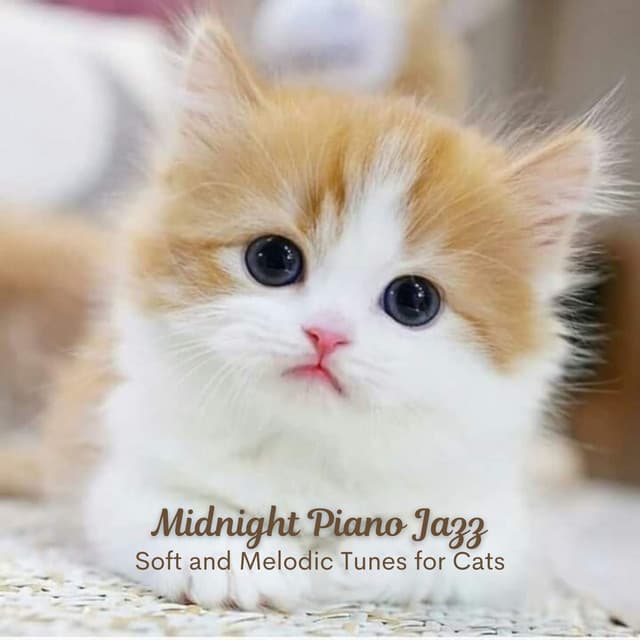 Midnight Piano Jazz: Soft and Melodic Tunes for Cats - Amazing Jazz Piano Background