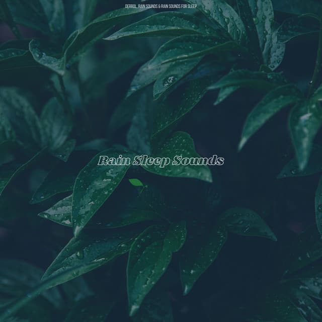 Rain Sleep Sounds - Derrol