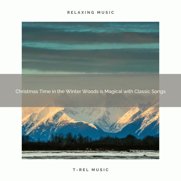 Christmas Time in the Winter Woods is Magical with Classic Songs - Water Soundscapes