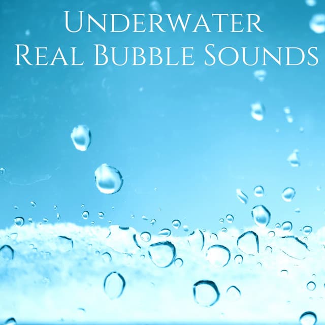 Quiet the Mind: Practicing Mindfulness - Sophia Mind