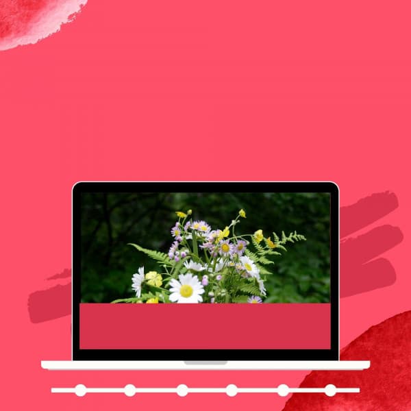 Background Music - Total Relax