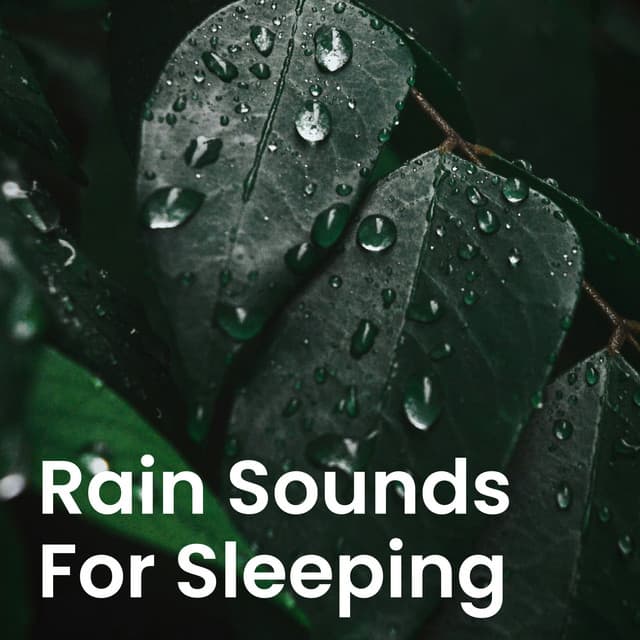 Rain Sounds for Sleeping - Relaxing With Sounds of Nature and Spa Music Natural