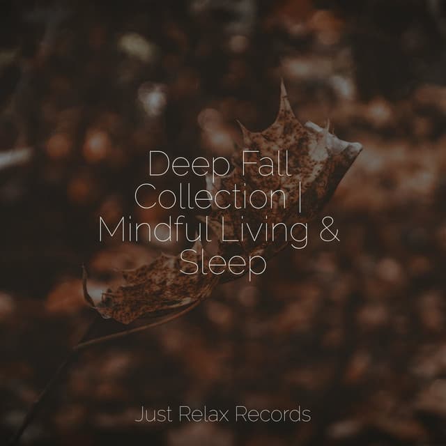 Deep Fall Collection | Mindful Living & Sleep - Bedtime Baby