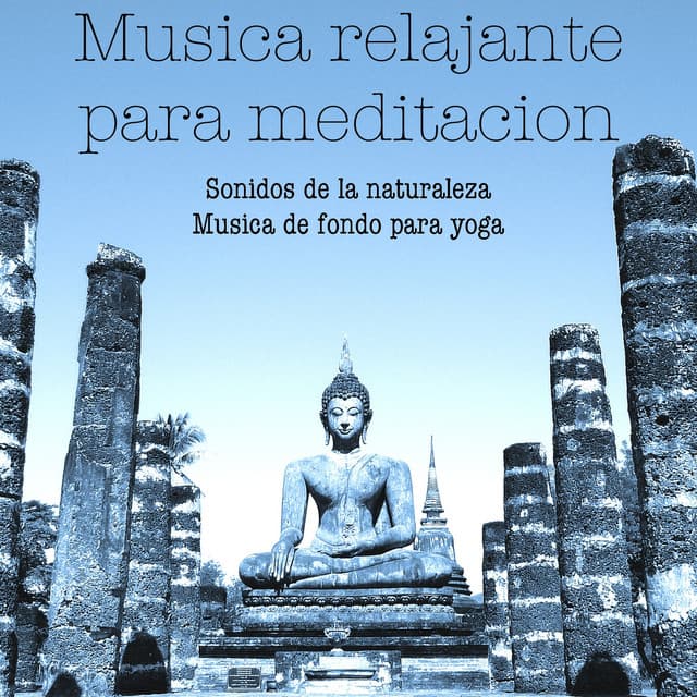 Maestros de música de la meditación