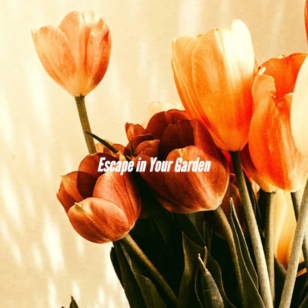 Escape in Your Garden - Office Work Music