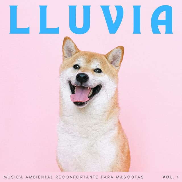Lluvia: Música Ambiental Reconfortante Para Mascotas Vol. 1 - Juegos de lluvia