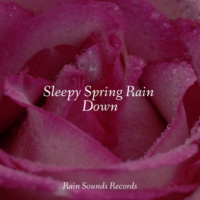 Sleepy Spring Rain Down - Ambiente