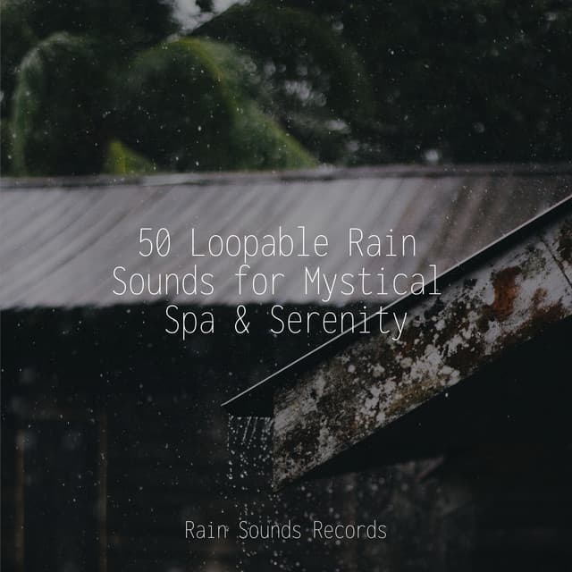 50 Loopable Rain Sounds for Mystical Spa & Serenity - Meditation