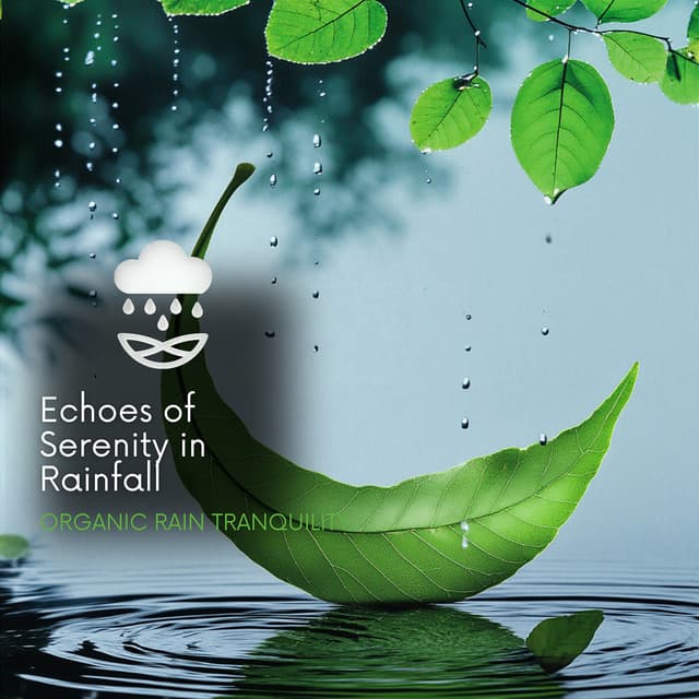 Echoes of Serenity in Rainfall - Organic Rain Tranquility