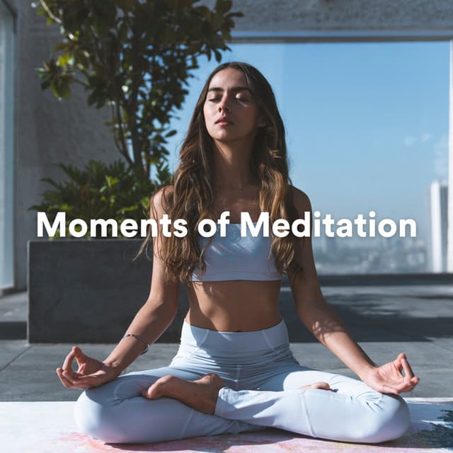 Moments of Meditation - Deep Relaxation Meditation Academy