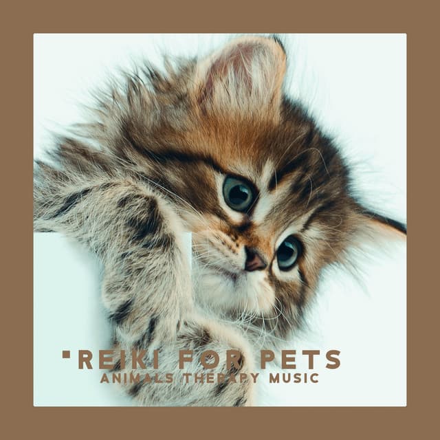 Reiki for Pets: Animals Therapy Music for Deep Relaxation of Cats and Dogs - Pet Care Club