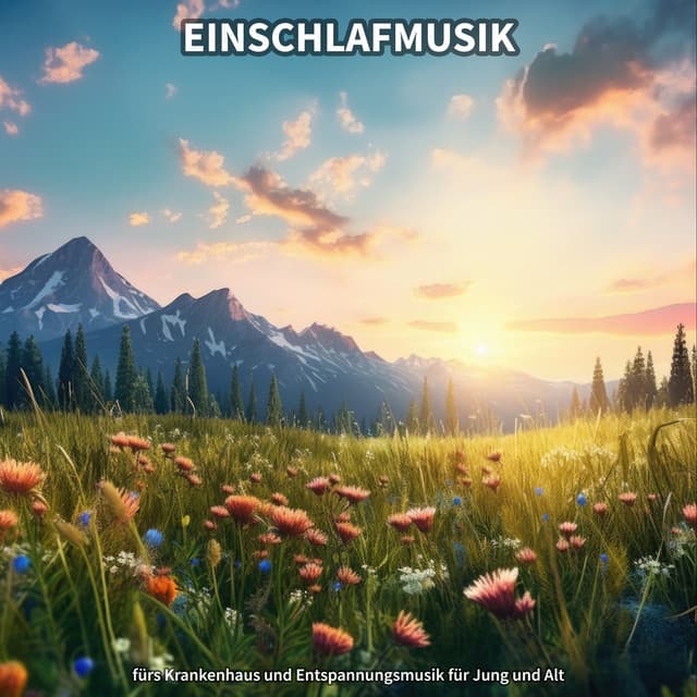 Einschlafmusik fürs Krankenhaus und Entspannungsmusik für Jung und Alt - Entspannungsmusik zum Einschlafen und Durchschlafen