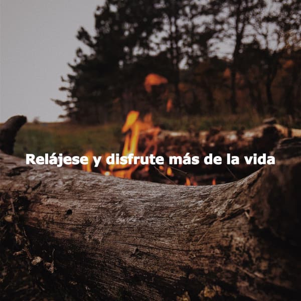 Relájese y disfrute más de la vida - Music for Cooking Playlist