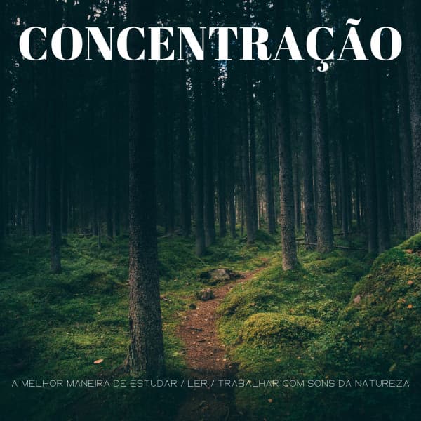 Concentração: A Melhor Maneira De Estudar / Ler / Trabalhar Com Sons Da Natureza - Música Relax para Bares