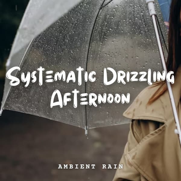 Ambient Rain: Systematic Drizzling Afternoon - Rain Sound Studio