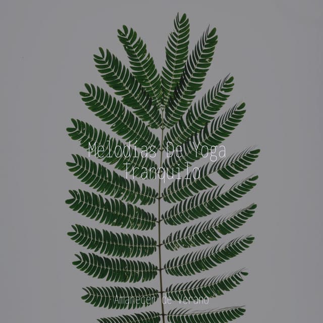 Melodías De Yoga Tranquilo - Relaxing Mindfulness Meditation Relaxation Maestro