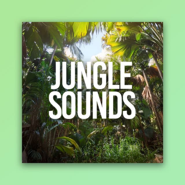 Jungle Sounds - Hypnosis Therapy
