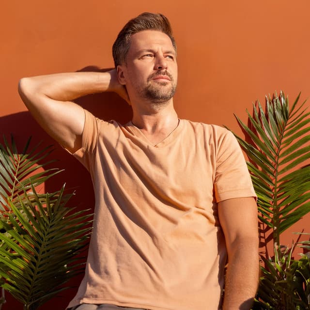 Vibras Suaves Lofi Para Relajación - Maestro de vibraciones cósmicas