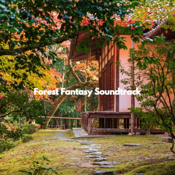 Forest Fantasy Soundtrack - Lettura di Musica