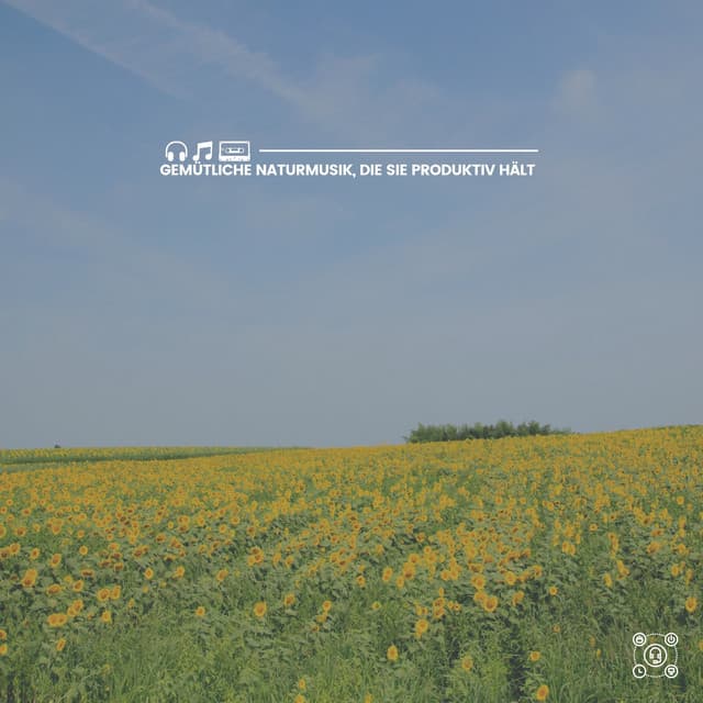 Gemütliche Naturmusik, die Sie produktiv hält - Naturgeräusche