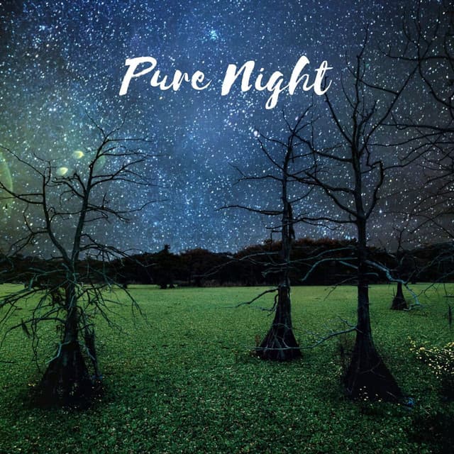 Pure Night - Ocean Sounds ACE