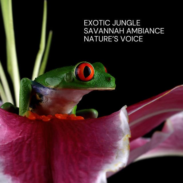 Exotic Jungle and Savannah Ambiance: Nature’s Voice - Ambient Jungle Sounds