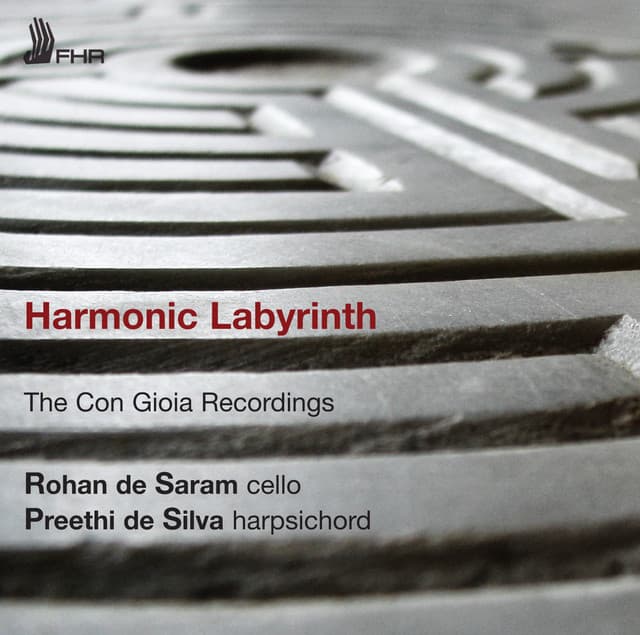 Harmonic Labyrinth - Rohan De Saram
