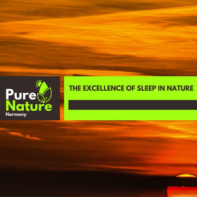 The Excellence of Sleep in Nature - Nature Field Recordings