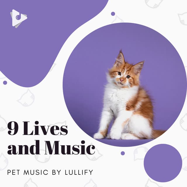 9 Lives and Music - Pet Music by Lullify