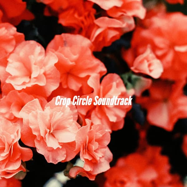 Crop Circle Soundtrack - Classic Jazz Chill