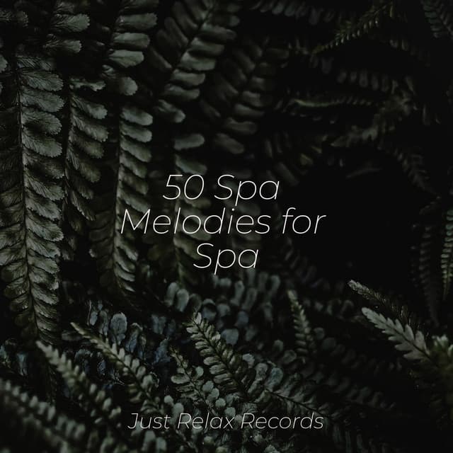 50 Spa Melodies for Spa - Musica Romantica