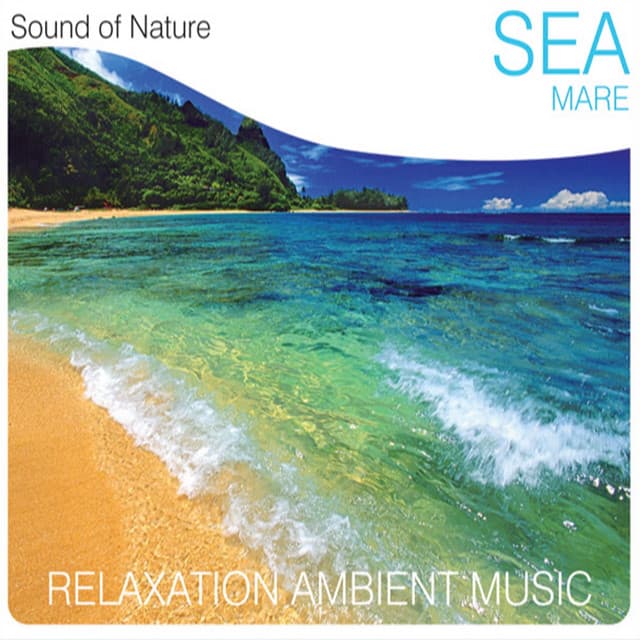 Sea - Sound of Nature Band