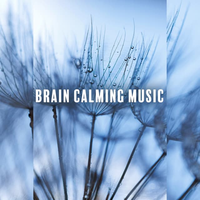 Brain Calming Music: Songs for Calming Down, Soothing and Relaxing, Stop Overthinking - Academy of Increasing Power of Brain