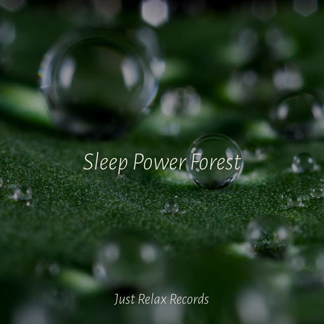 Sleep Power Forest - New Age