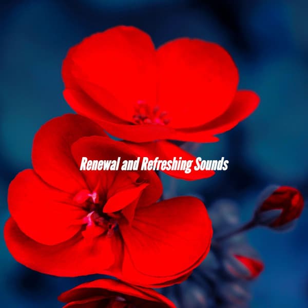 Renewal and Refreshing Sounds - Date Night Chill Out Playlist